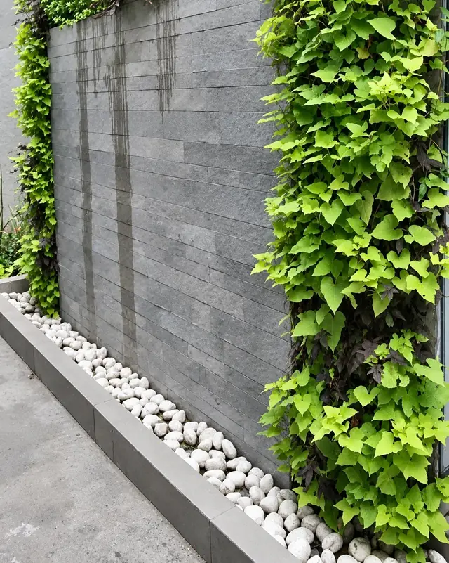 Vertical garden outdoor