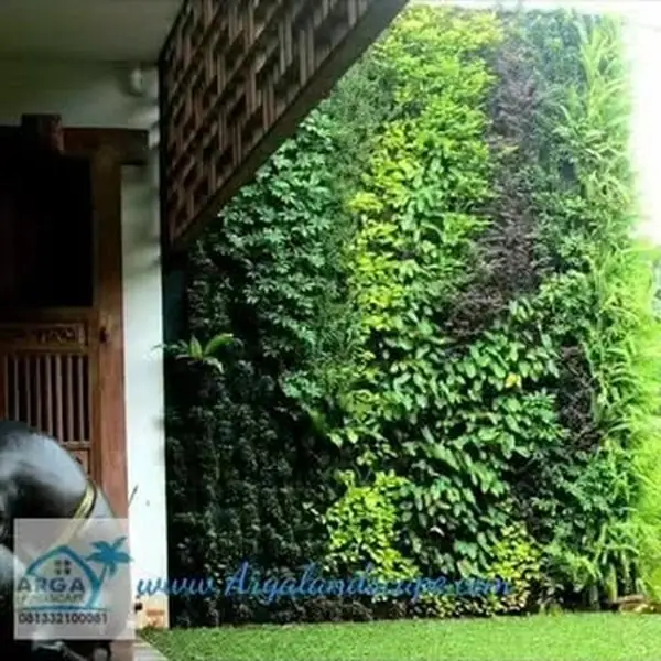 Vertical garden – Dinding hijau rumah