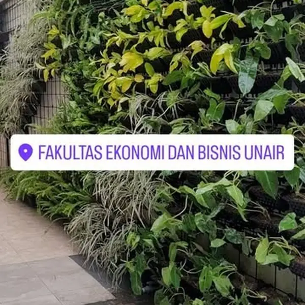 Vertical garden – FEB UNAIR